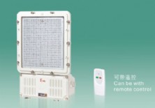 防爆燈LED免維護(hù)節(jié)能-（燈）